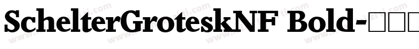 SchelterGroteskNF Bold字体转换